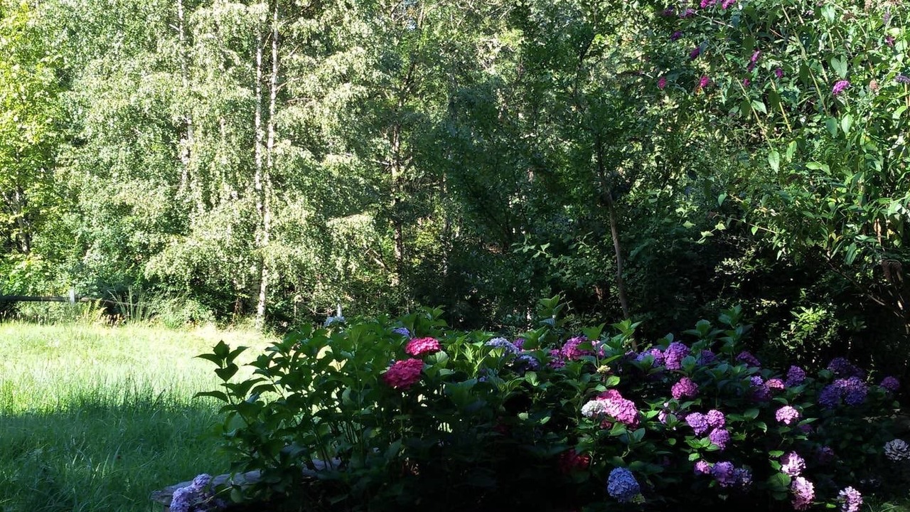 Photo of Outdoor in Croveo