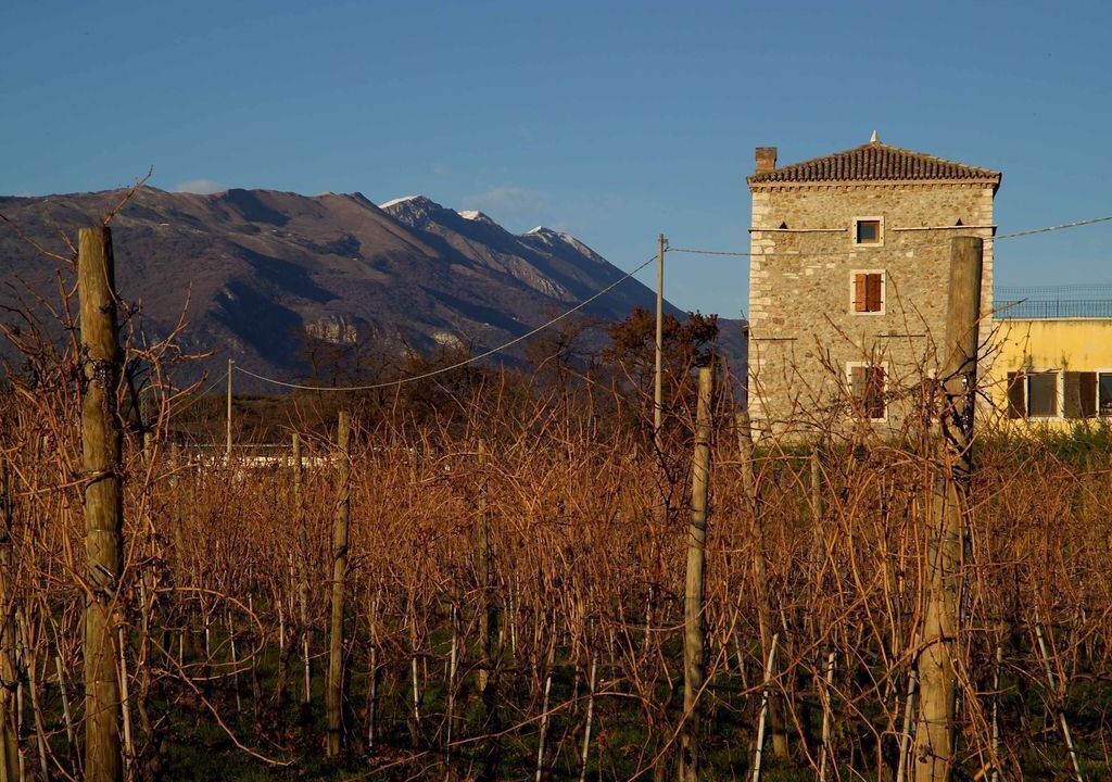 Photo of Outdoor in Cavaion Veronese