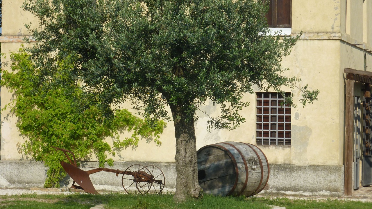 Photo of Others in Santa Vittoria in Matenano