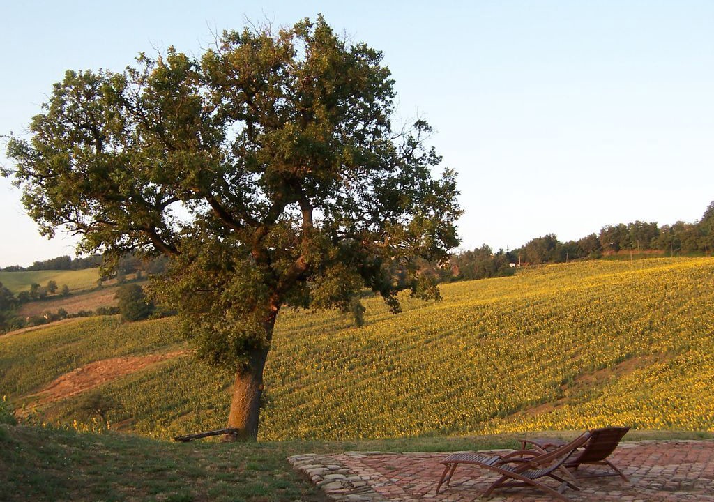 Photo of Outdoor in Santa Maria d'Alto Cielo