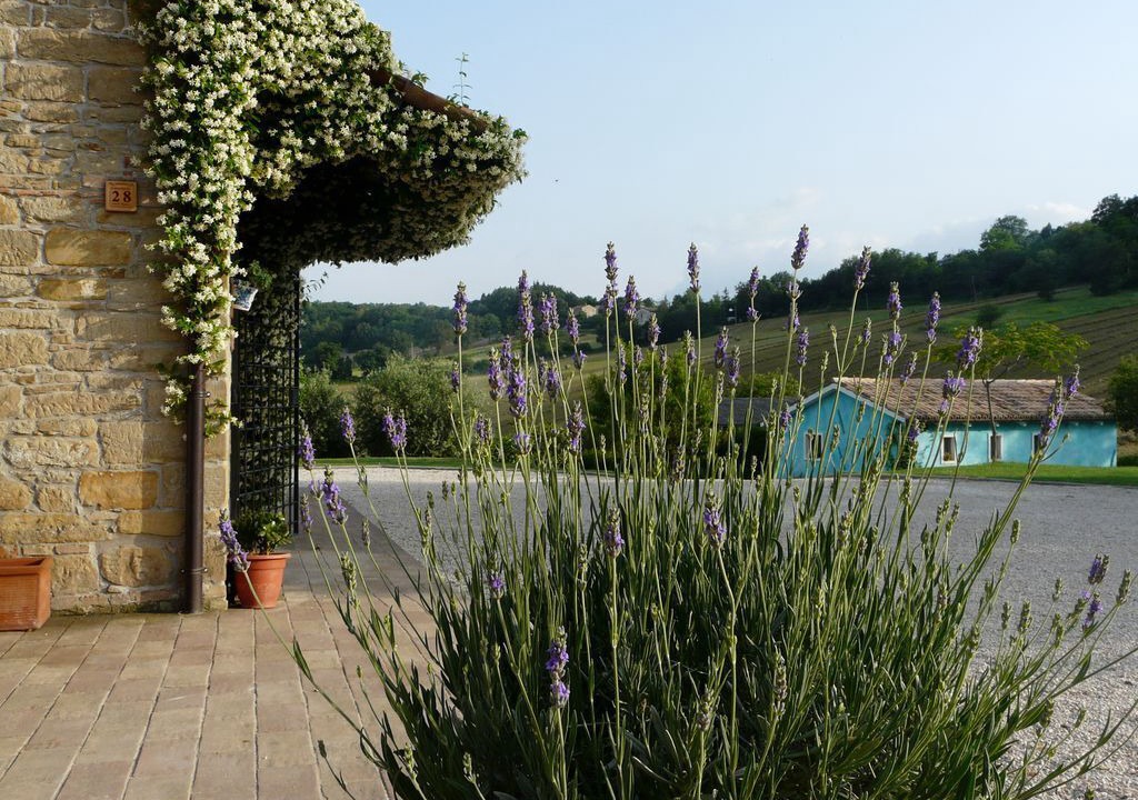 Photo of Outdoor in Santa Maria d'Alto Cielo