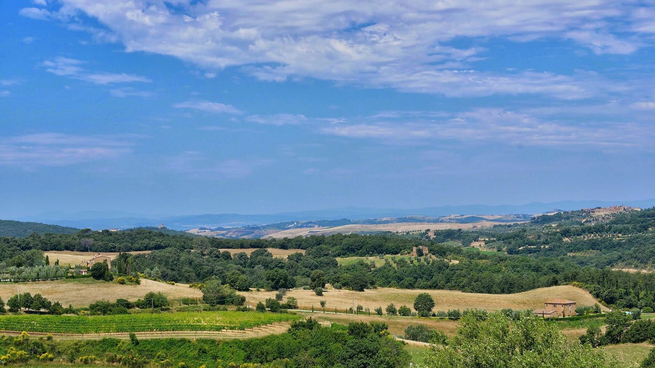 Photo of Others in Torrita di Siena