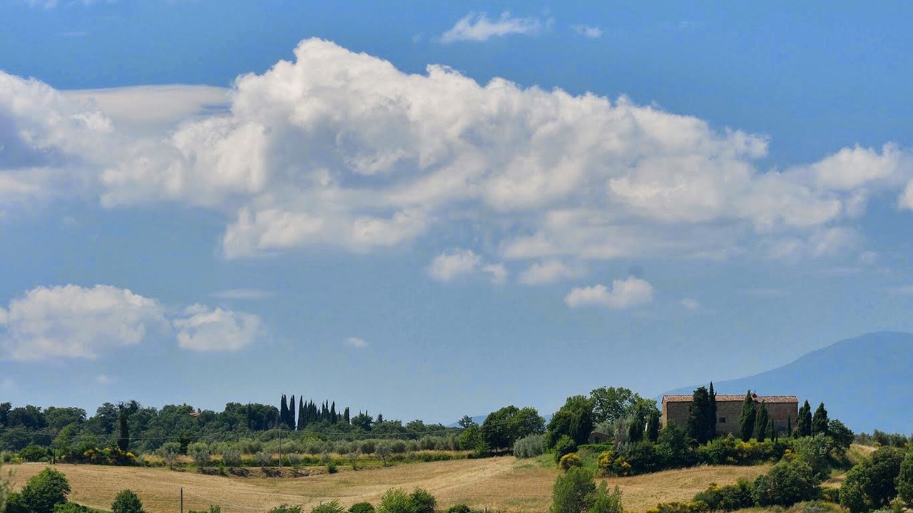 Photo of Others in Torrita di Siena
