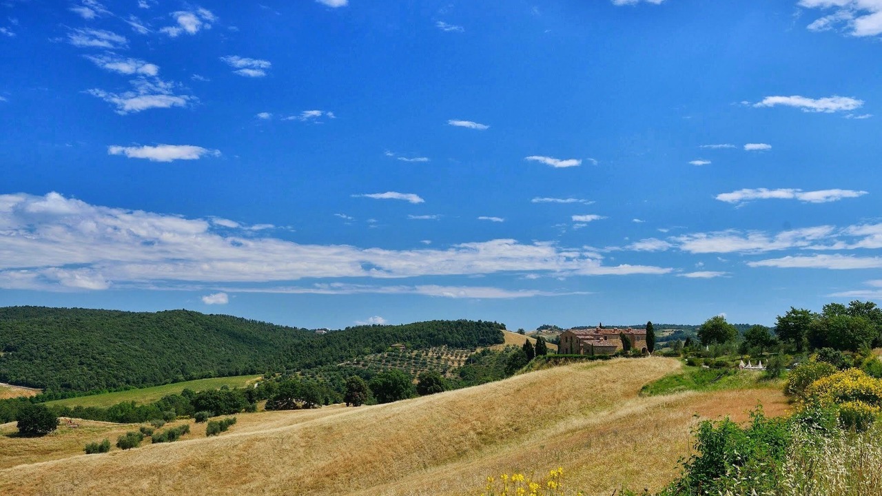 Photo of Others in Torrita di Siena