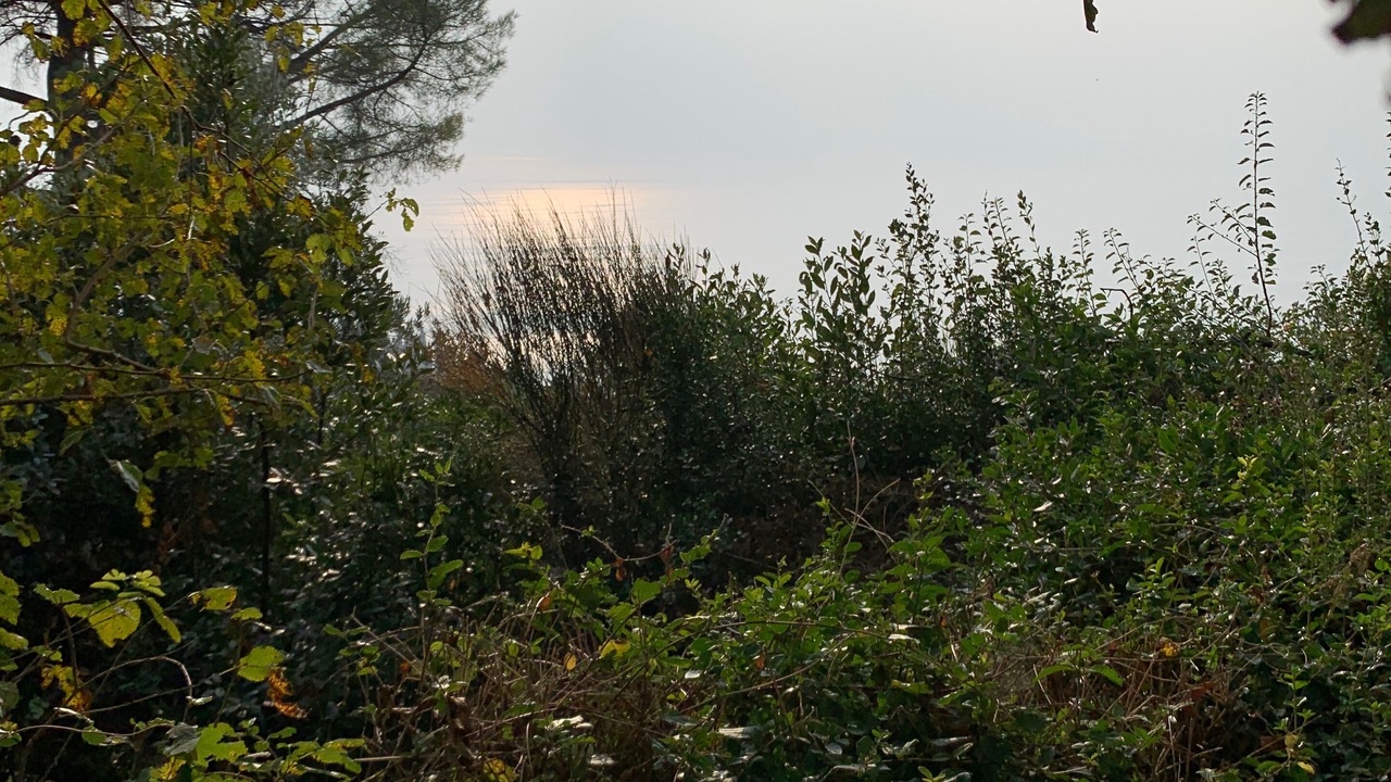 Photo of Outdoor in Garda