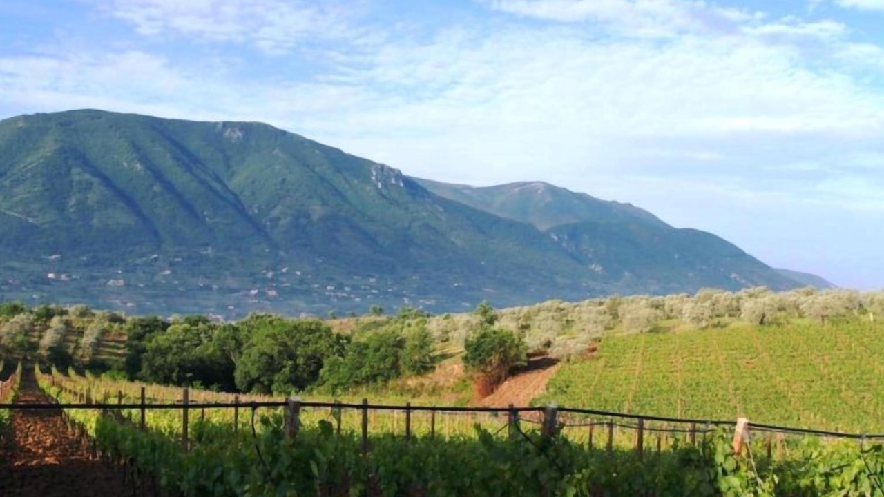 Photo of Outdoor in San Lupo