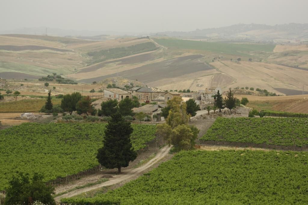 Photo of Outdoor in Naro