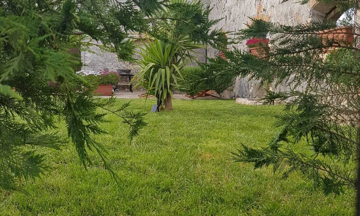 Photo of Outdoor in Naro