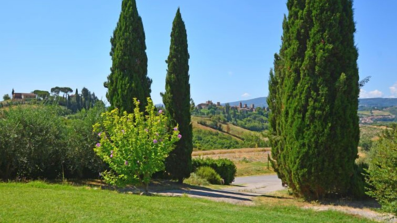 Photo of Outdoor in Certaldo