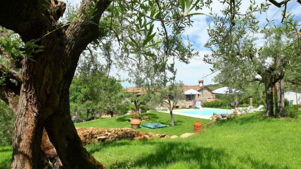 Photo of Outdoor in Magione