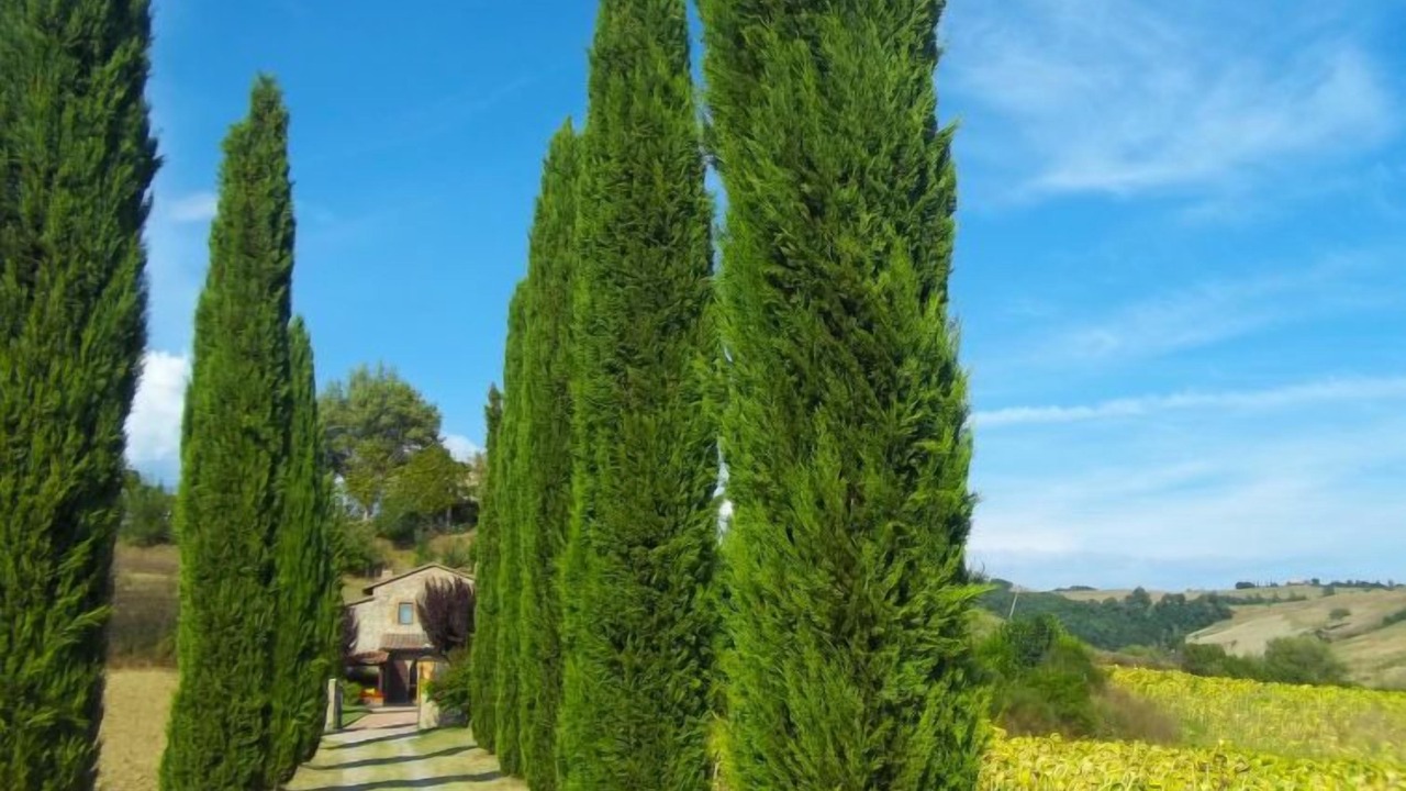 Photo of Outdoor in Proceno