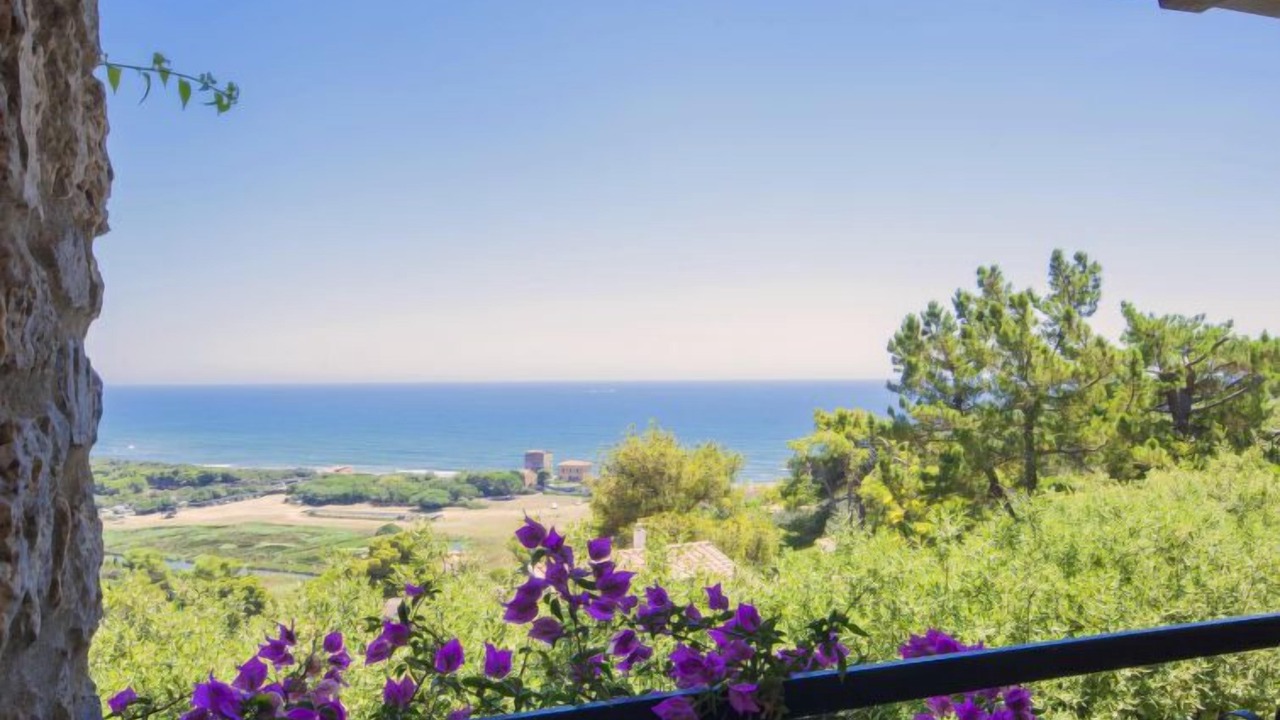 Photo of Others in Ansedonia