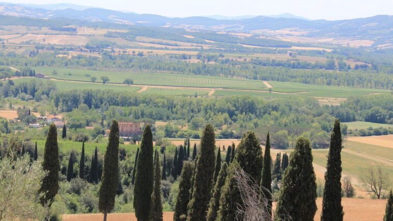 Photo of Others in Monte Antico Alto