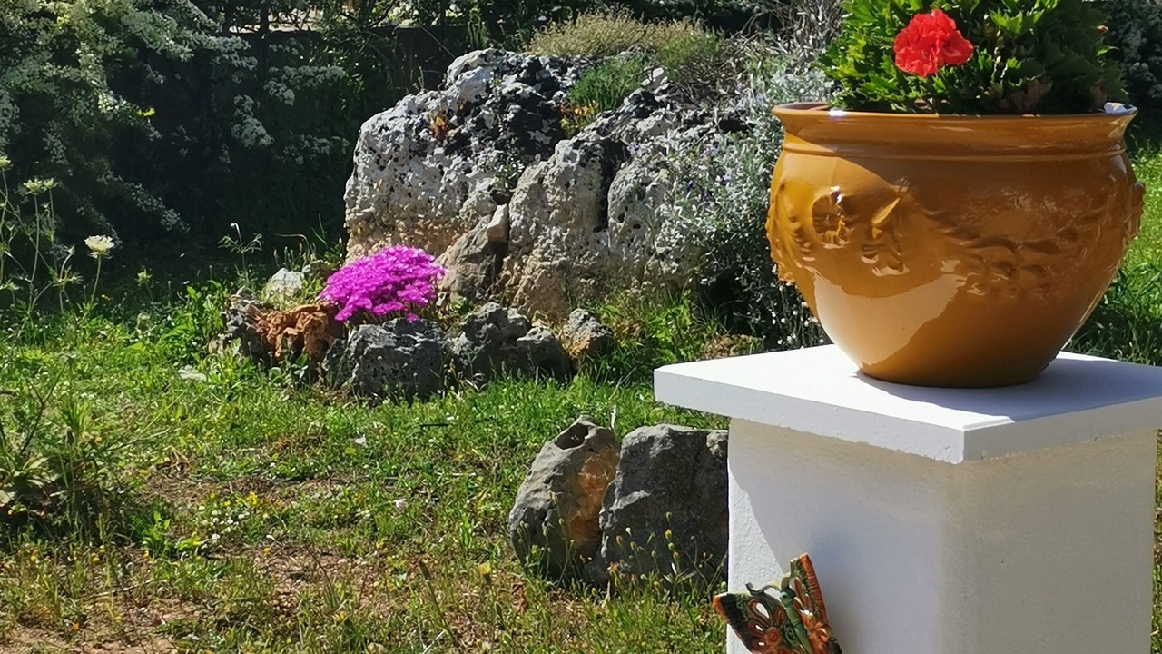 Photo of Outdoor in Villa Castelli
