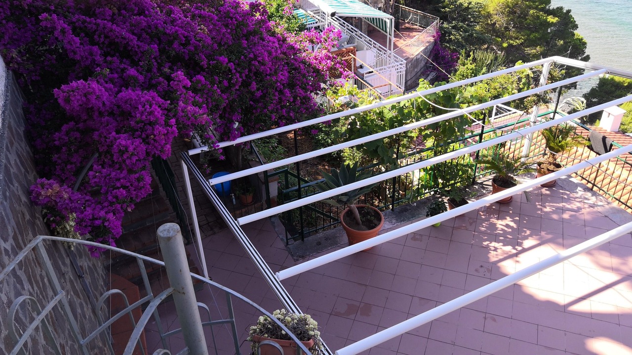 Photo of Outdoor in San Mauro Cilento