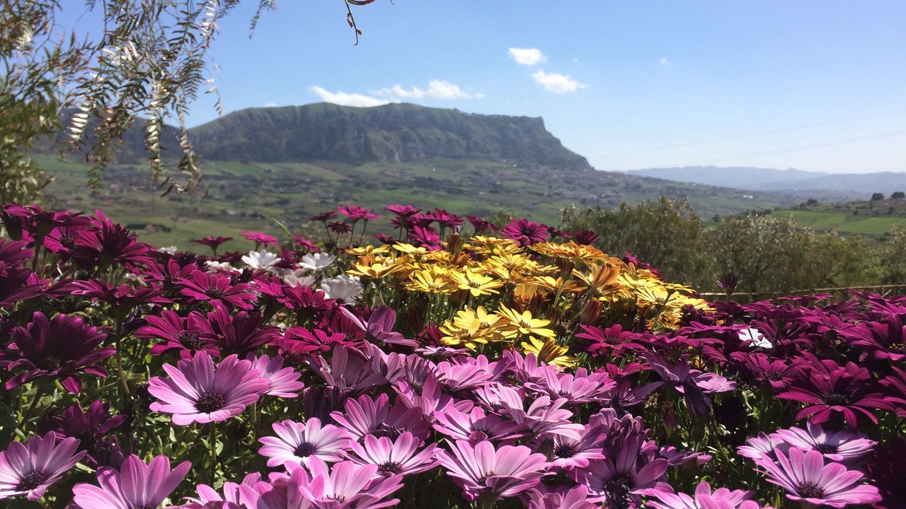 Photo of Outdoor in San Giuseppe Jato