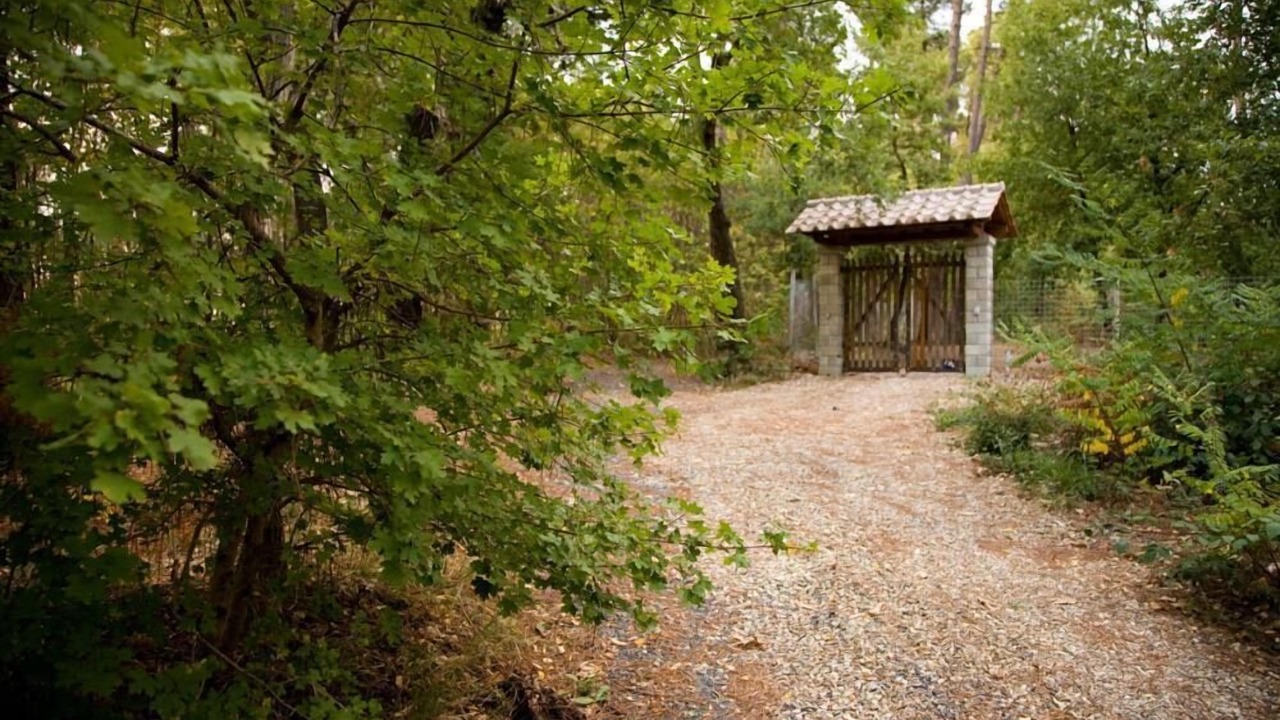 Photo of Outdoor in Poppi