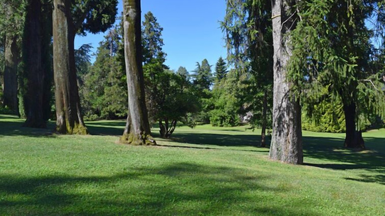 Photo of Outdoor in Porto Valtravaglia