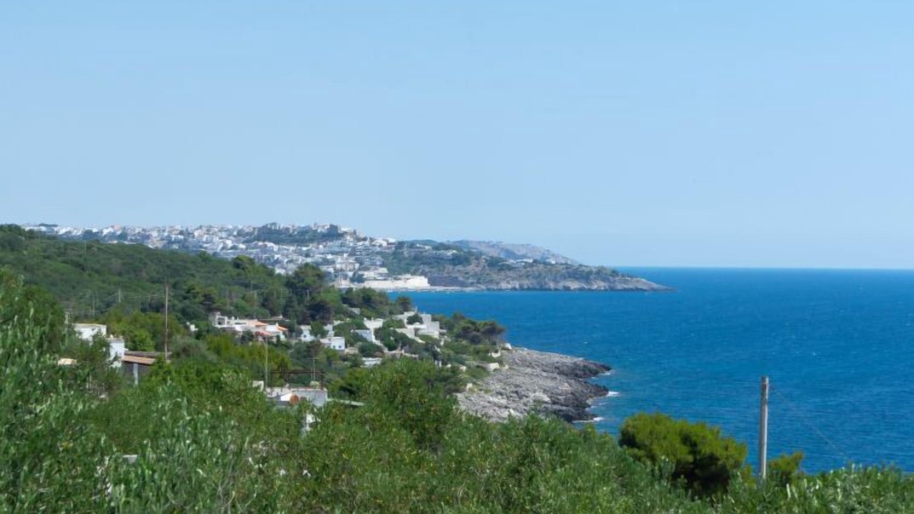 Photo of Others in Marina di Andrano