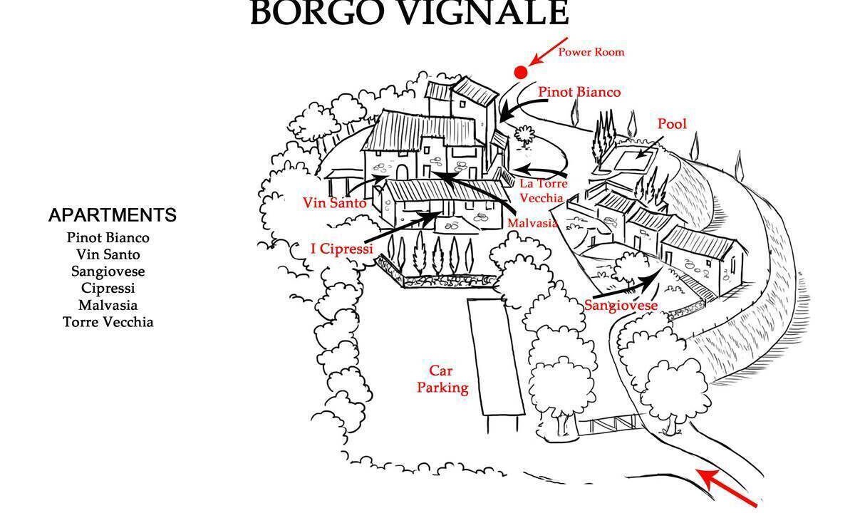Photo of Others in Castelnuovo Berardenga