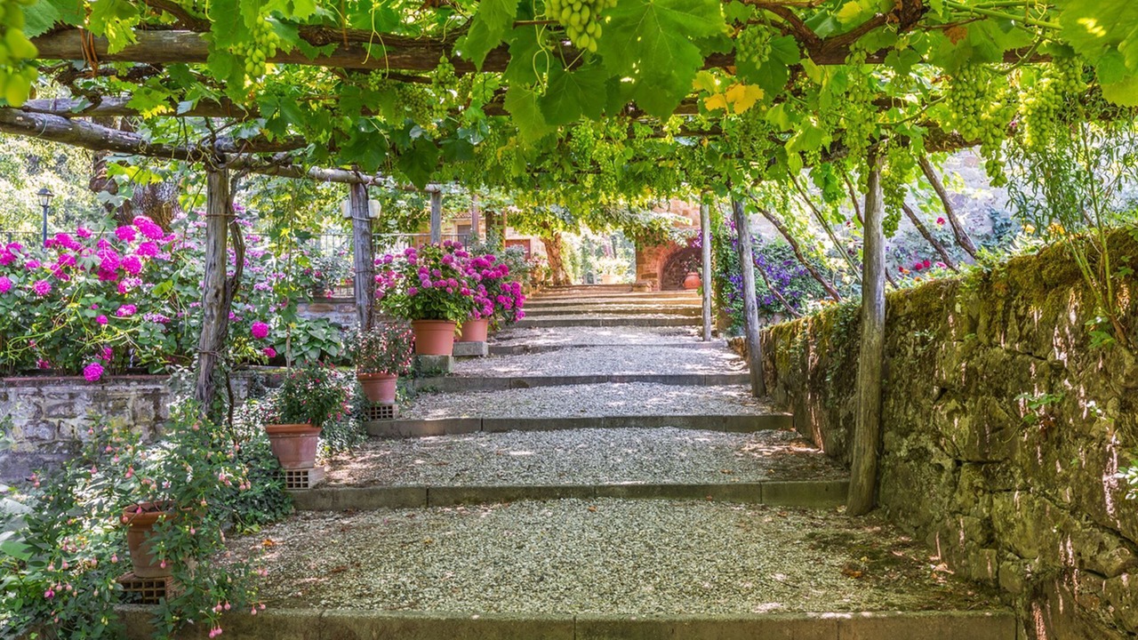 Photo of Outdoor in Ripoli