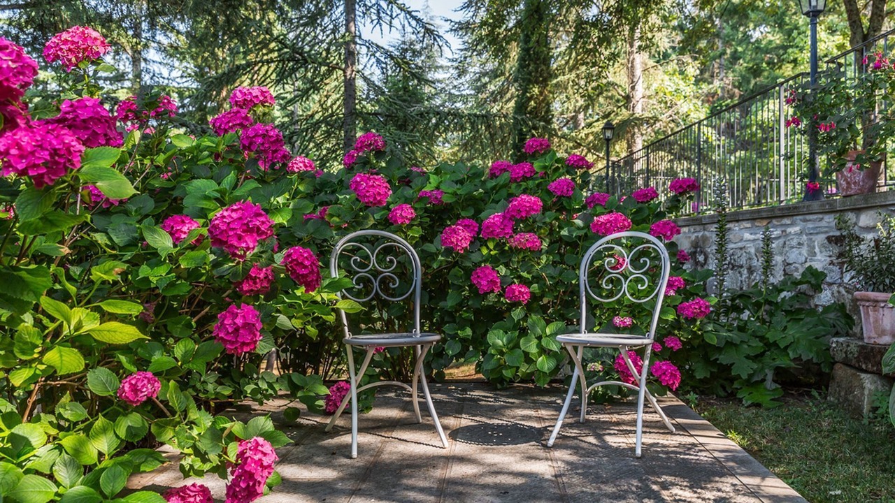 Photo of Patio Balcony in Ripoli