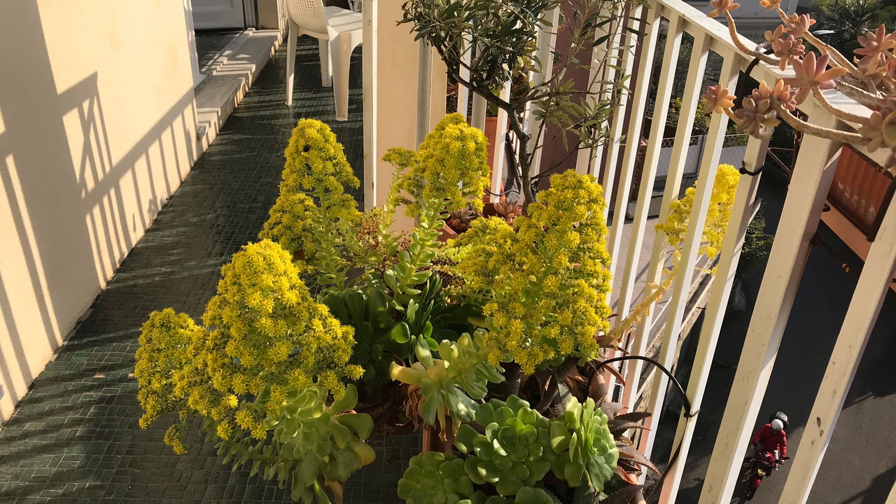 Photo of Outdoor in Rapallo