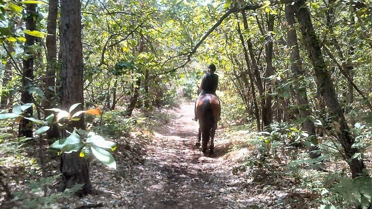 Photo of Outdoor in Alice Superiore
