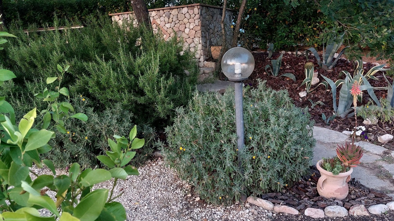 Photo of Outdoor in Precetto