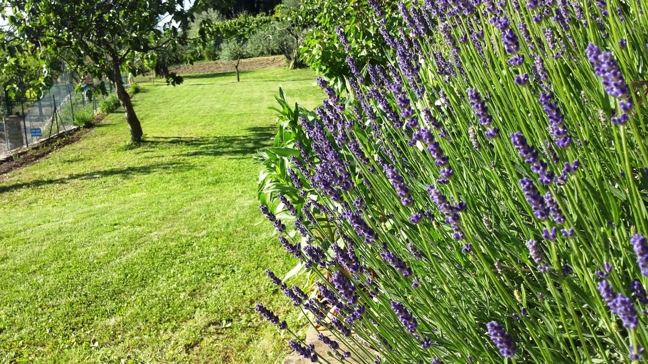 Photo of Outdoor in Vaiano