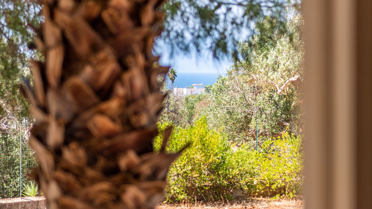 Photo of Outdoor in Torre Suda