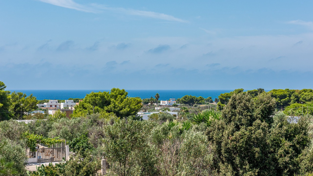 Photo of Others in Torre Suda