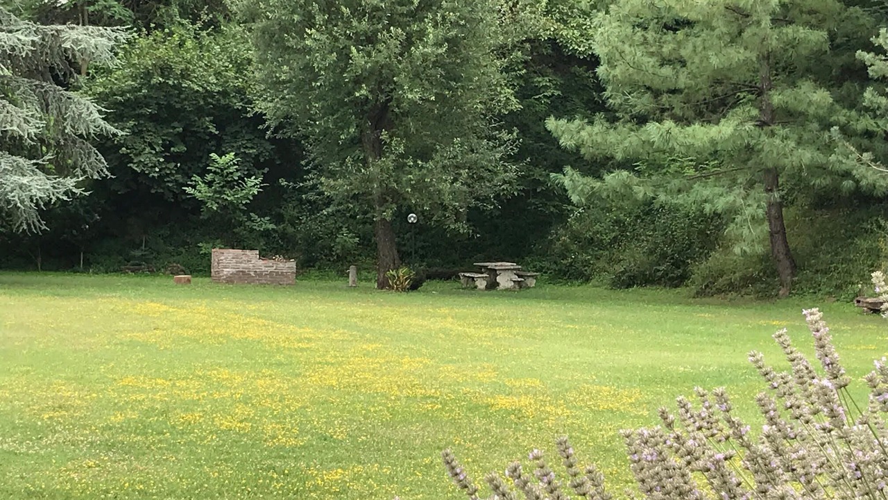 Photo of Outdoor in Monte San Pietro