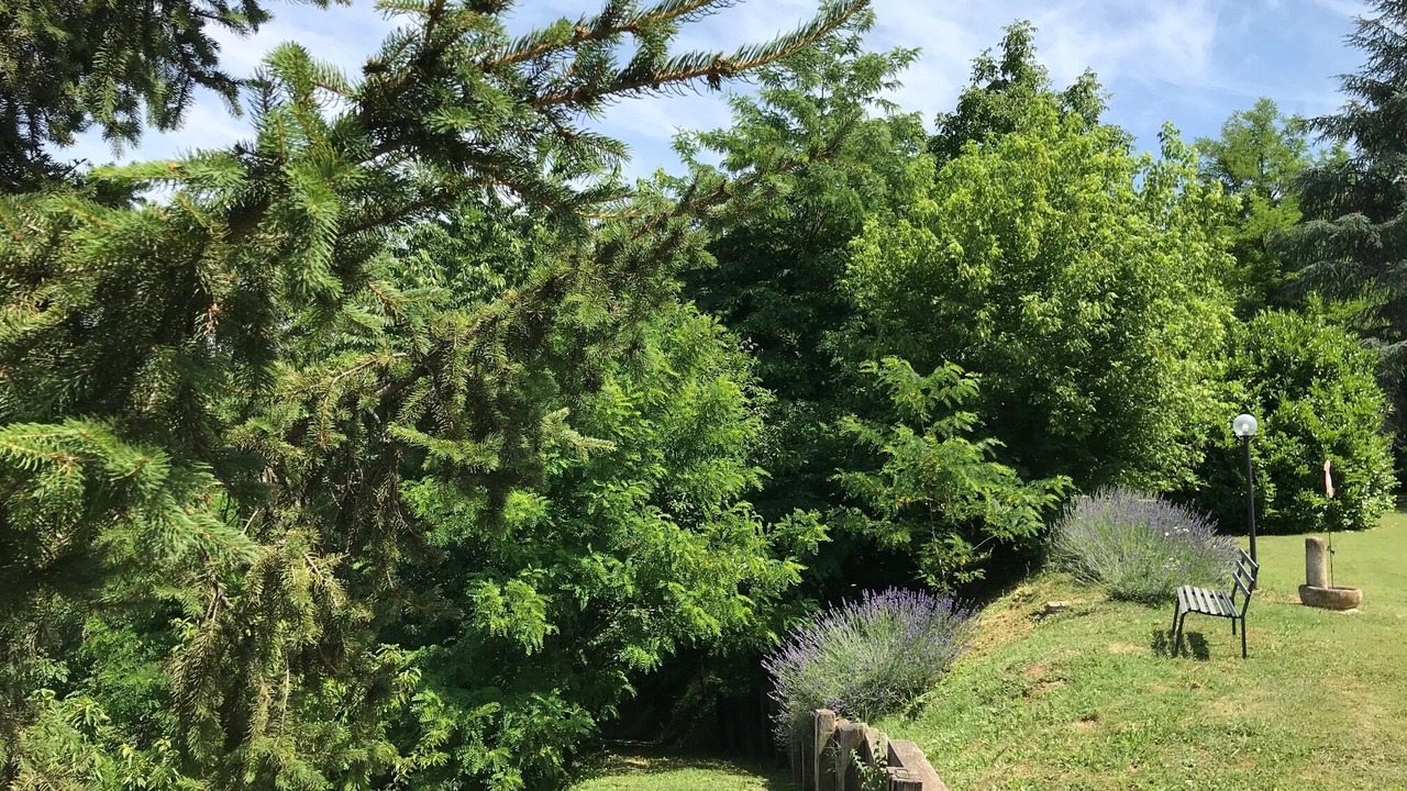 Photo of Outdoor in Monte San Pietro