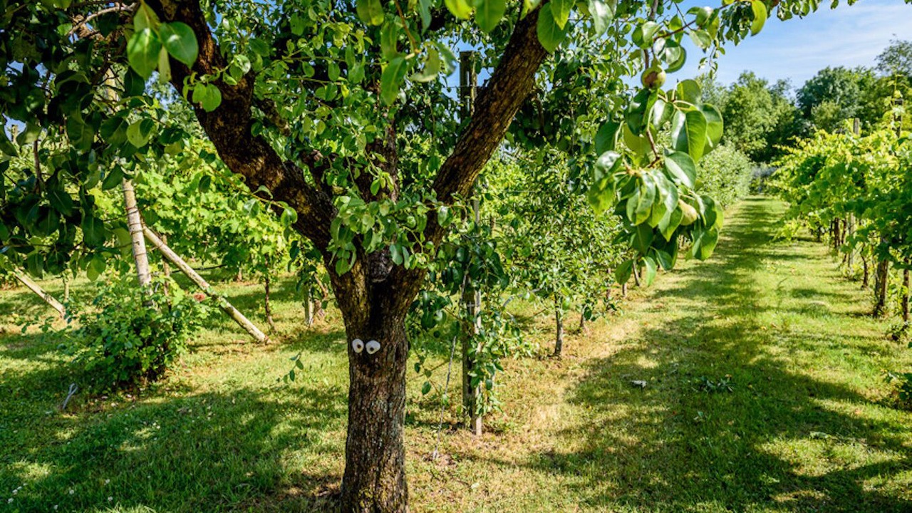 Photo of Outdoor in Palazzolo dello Stella