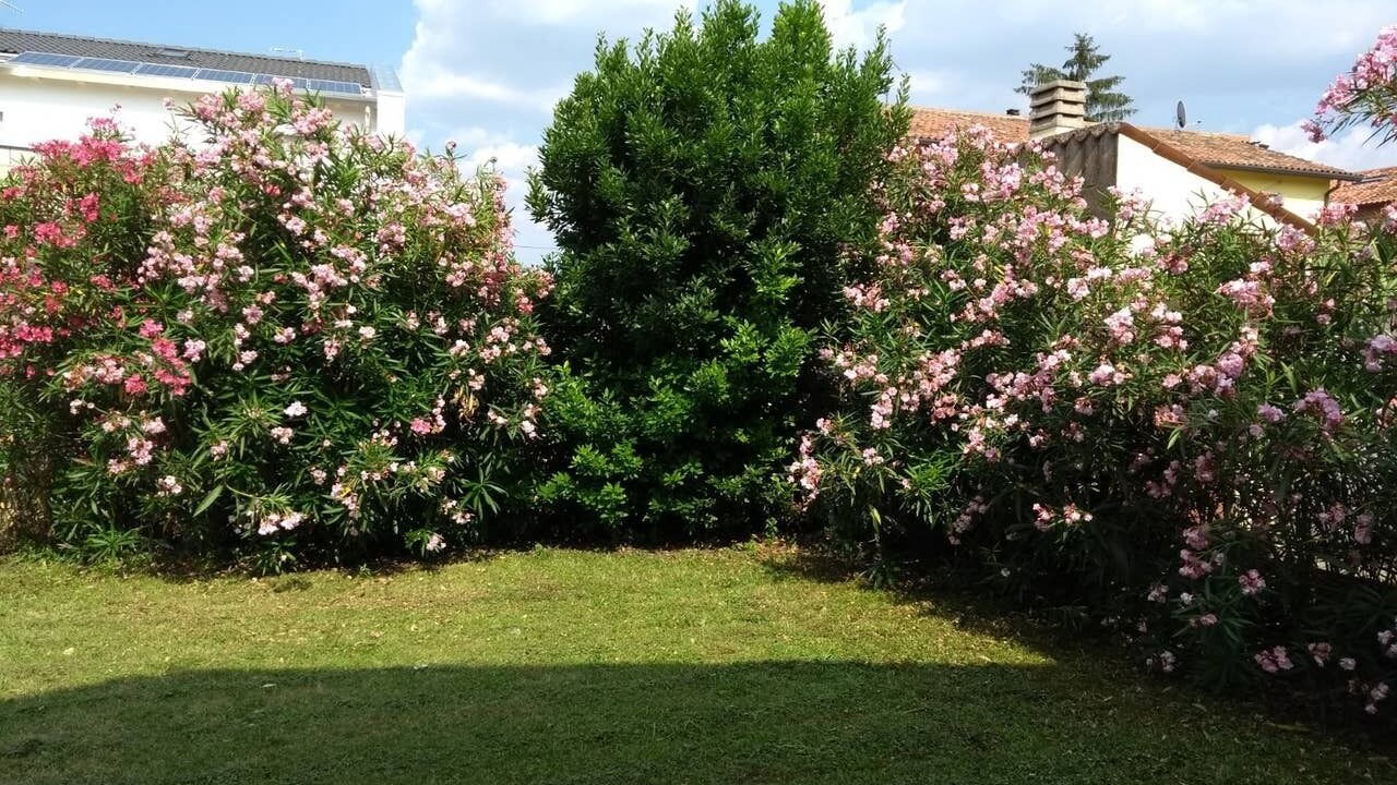 Photo of Outdoor in Sossano