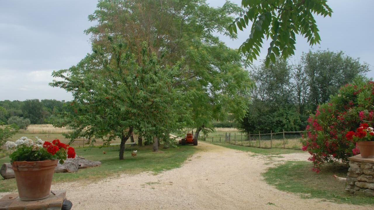 Photo of Outdoor in Amelia