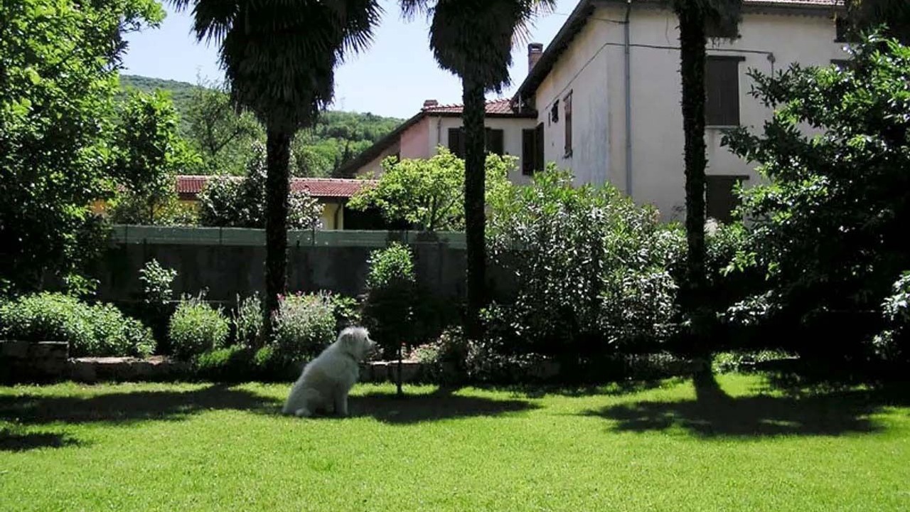 Photo of Outdoor in Caldana