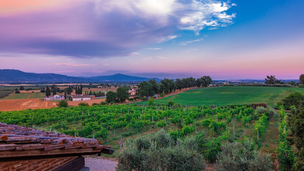 Photo of Outdoor in Alberoro