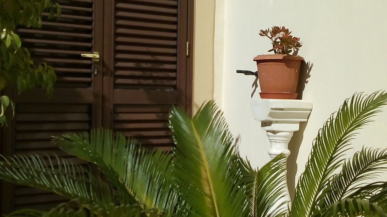 Photo of Outdoor in Sarno