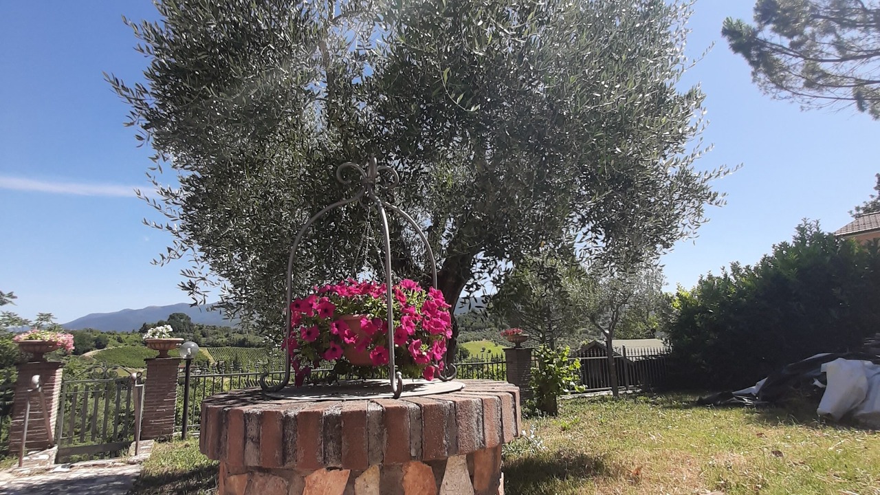 Photo of Outdoor in Poggio Mirteto