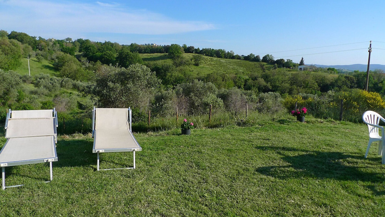 Photo of Outdoor in Scansano