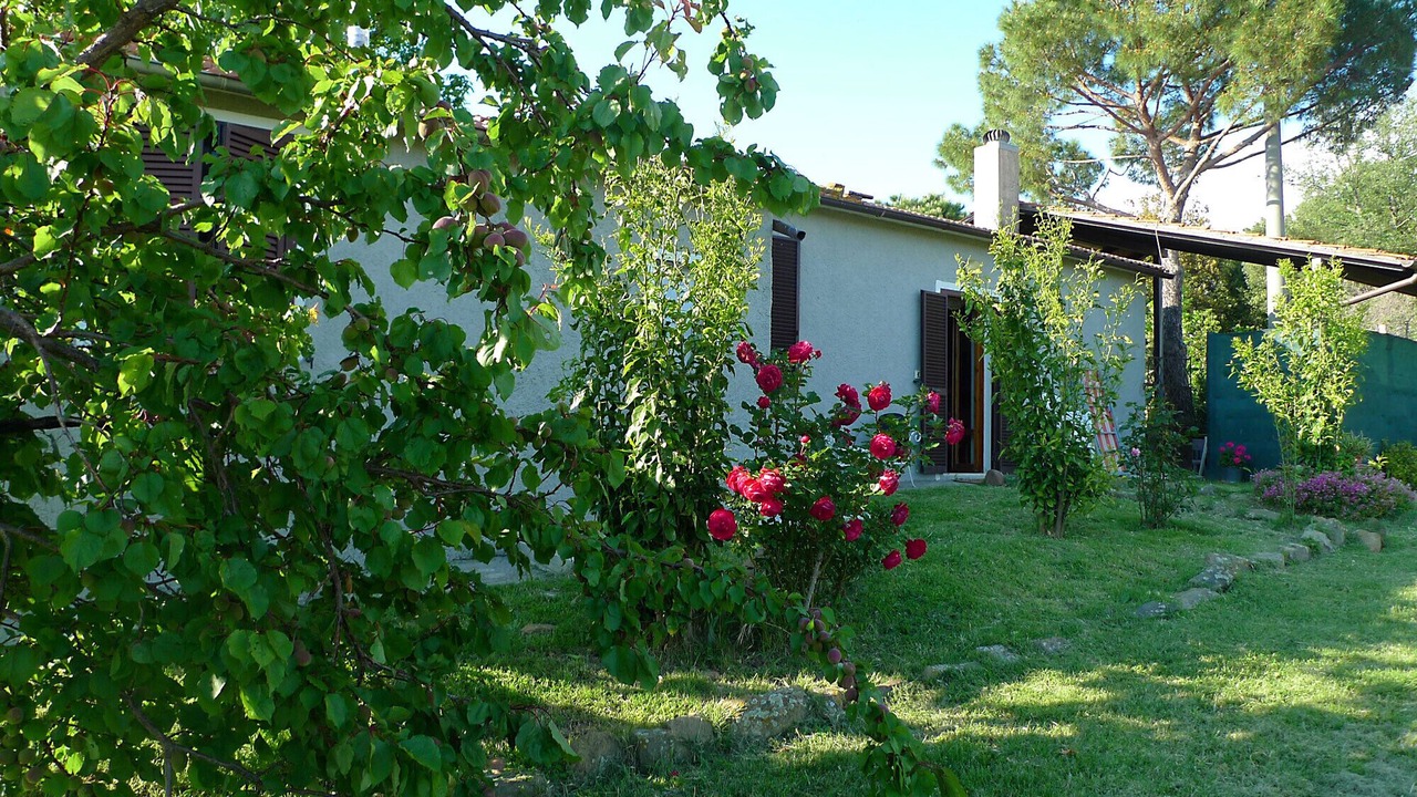 Photo of Outdoor in Scansano