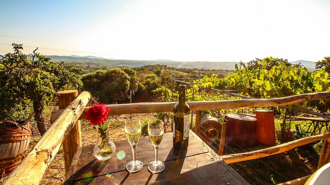 Photo of Outdoor in Scansano
