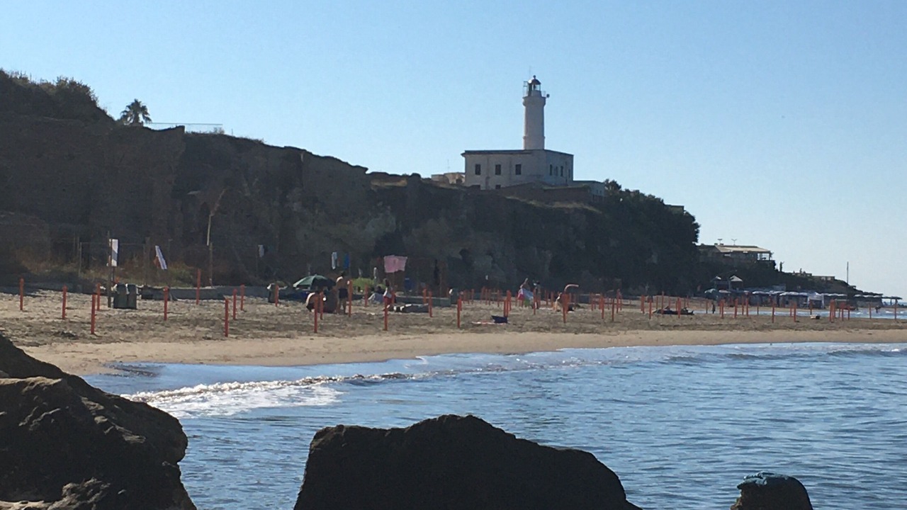 Photo of Others in Anzio