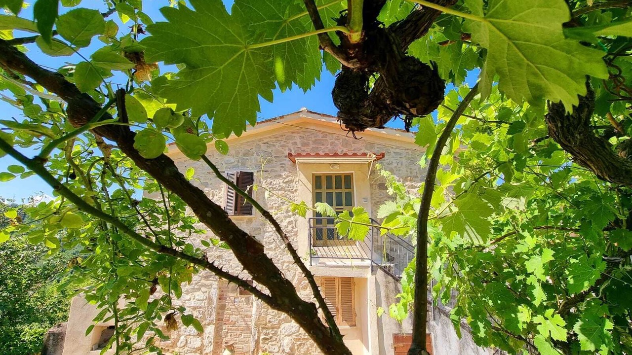 Photo of Outdoor in Venarotta