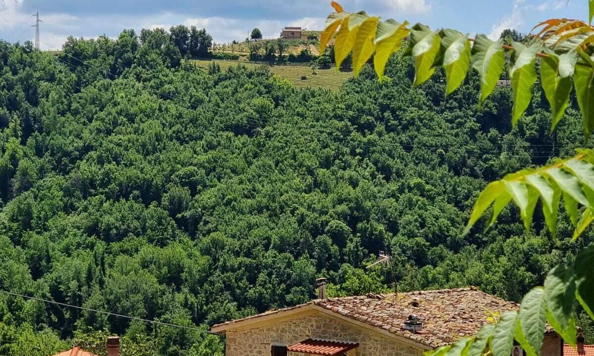 Photo of Outdoor in Venarotta