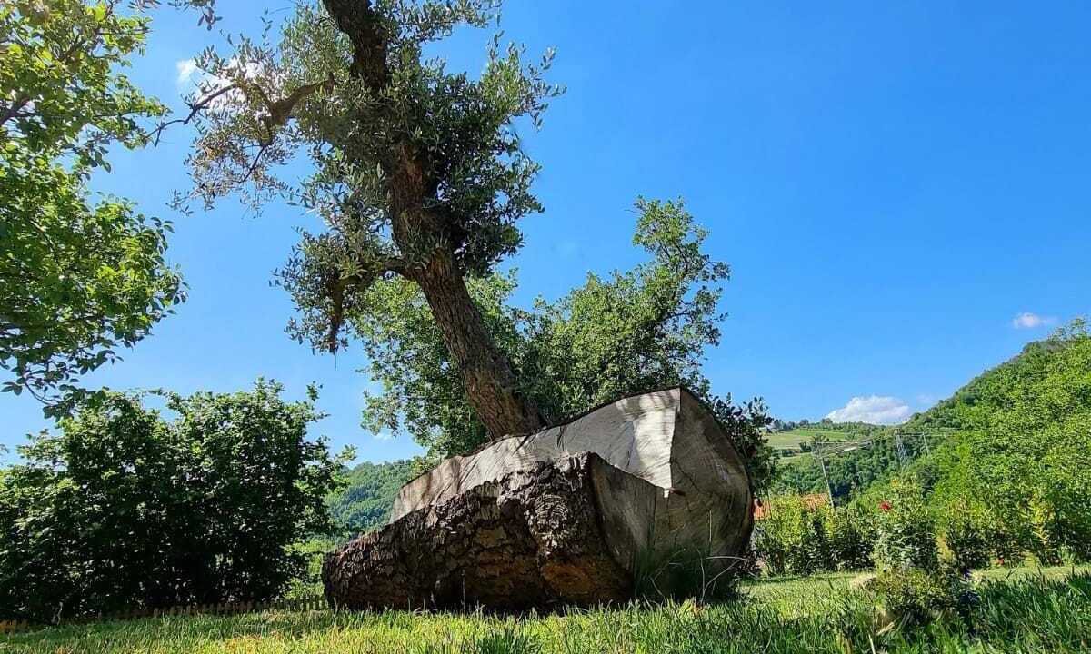 Photo of Outdoor in Venarotta