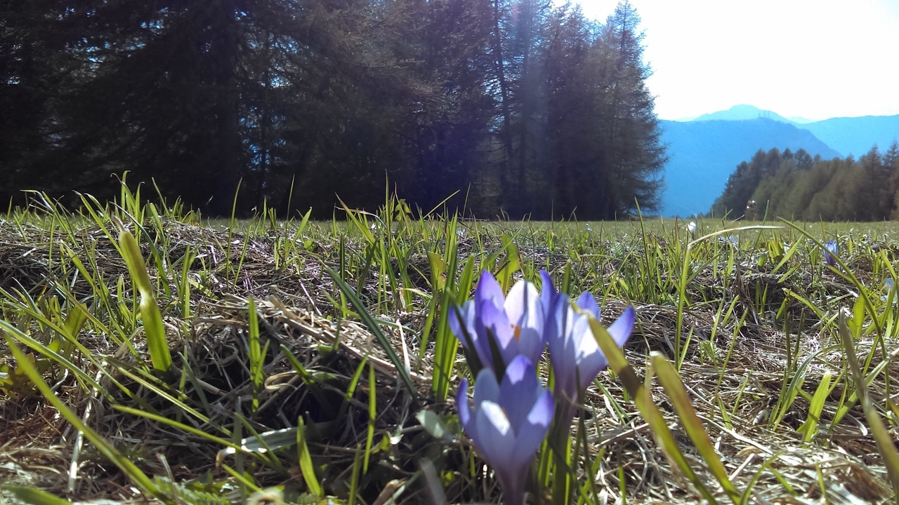 Photo of Outdoor in Folgaria