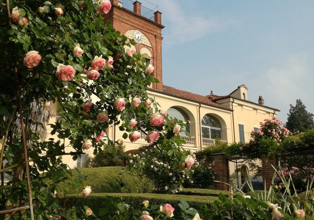 Photo of Outdoor in Casale Monferrato